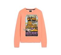 Superdry Neon Travel Loose Sweatshirt Orange L Men