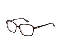 Superdry Optical Frame SDO-NADARE 103 53