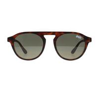 Superdry Palmsprings Mens Tortoise Brown Sunglasses