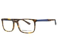 Superdry SDO Domenic 102 Tortoise Blue