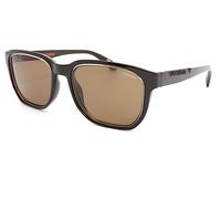 Superdry SDS 5003 Sunglasses Shiny Black Gold with Dark Brown Lenses 104a