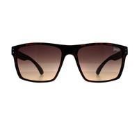 Superdry Sunglasses Kobe 102 Havana Brown