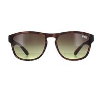 Superdry Sunglasses Rockstar 170A Brown Brown
