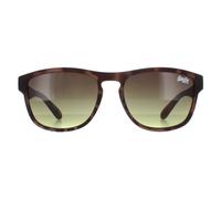 Superdry Sunglasses Rockstar 170A Brown Brown