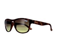 Superdry Sunglasses - Rockstar Dark Havana 170A Brown Brown