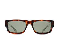 Superdry Sunglasses SDS-5005 102A Tortoise Crystal Solid Green