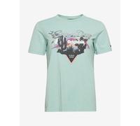Superdry Vintage Vl Narrative Short Sleeve T-shirt Green 2XS Woman