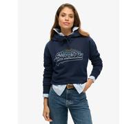 Superdry Womens Rainbow Graphic Logo Hoodie