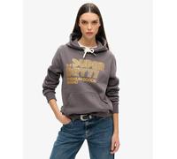 Superdry Womens Retro Glitter Logo Hoodie
