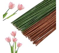 SUPERFINDINGS 100Pcs 2 Colors Iron Floral Wire Stems 40cm/15.75" Flower Stem Wires 3mm Diameter Flower Wire Wrapped with Paper 18 Gauge Artificial Stems for Flowers Crafts Bouquent Wreath DIY