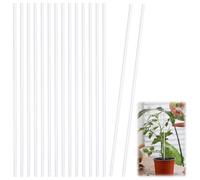 SUPERFINDINGS 40Pcs Acrylic Orchid Stakes Plant Stakes Garden Stakes Rods Solid Potted Plant Support Stakes for Support Vines Grow Decoration Accessories Column 300x5mm