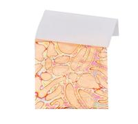 SUPERFINDINGS 50 Sheets Metal Leaf Papers with Patterns Variegated Foil Leaf Light Salmon Imitation Foil Gold Leaf Sheets for DIY Nail Paintings Handcrafts Picture Frames Sculpture