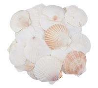 SUPERFINDINGS 500G About 32PCS Natural Seashell 8.8cm Scallop Shells Sea Beach Shells White Large Seashell for DIY Crafts Shell Decorations Ocean Beach Themed Accessories
