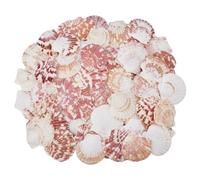 SUPERFINDINGS 500G About 99PCS Natural Seashell 5-6cm Scallop Shells Sea Beach Shells Large Colorful Seashells for Wall Home Fish Tank Decor DIY Crafts Shell Decorations