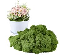 SUPERFINDINGS 500g Artificial Moss Green Moss Grass Decor for DIY Decorative Walls Table Centerpieces Wedding Party Photography Props Decor Fairy Garden Model
