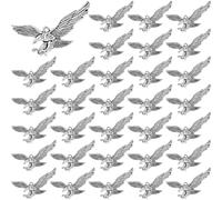 SUPERFINDINGS 50Pcs Eagle Charms Alloy Hawk Pendants Tibetan Style Bird Charms Antique Silver Hanging Eagle Pendants with Hole for Necklace Bracelet Earring Jewelry Making