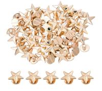 SUPERFINDINGS 60 Sets Alloy Star Stud Rivet Light Gold Star Conchos Screw Back Leather Crafting Stars Leather Rivets Studs Punk Rivets for Belts Bags Shoes Clothing Accessories DIY Craft Decoration