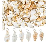 SUPERFINDINGS 60Pcs 6 Styles Conch Seashell Charms Spiral Beach Shell Pendants Gold Silvery Wire Wrapped Natural Shell Charms Cowrie Shells Ocean Charms for DIY Jewelry