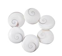 SUPERFINDINGS 6Pcs Shiva Eye Shell Flat Round Shell Decorations Decorative Shells Cabochons 1.5" Seashell for DIY Shells Jewelry Making Wall Home Fish Tank Decor Ocean Beach Themed Accessories