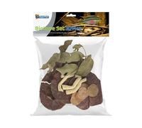 Superfish Biotope Set Africa