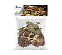 Superfish Biotope Set Asia