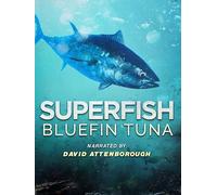 Superfish: Bluefin Tuna - Narrated by David Attenborough