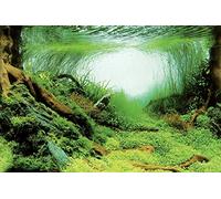 (Design C - Planted, Size 2 - 60 x 49cm) SuperFish Deco Poster Aquarium Background
