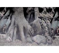 Superfish Deco Poster D5 120cm x 61cm (Roots/Blue) Aquarium Background