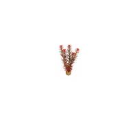 SuperFish Easy Plant Middle 20cm - 7 - 515245