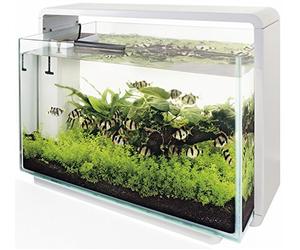 Superfish Home 65 White Freshwater Aquarium
