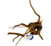 Superfish Natural Spiderwood - Small (20-30cm)