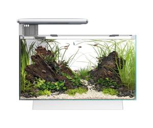 Superfish Quadro 40 Multicolour LED White 28 Litre Aquarium Fish Tank