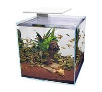 Superfish Qubiq 60L Pro White Aquarium with LED Light