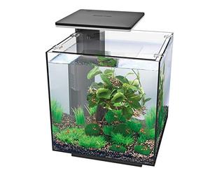Superfish Qubiq Aquarium 30 l (Pack of 1) with LED Lighting - Black