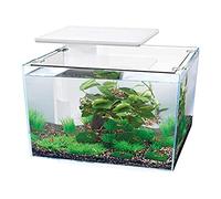 Super Fish QUBIQ 30 - WHITE