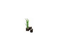 Superfish Square Flexi Plant Basket 25x25x20cm