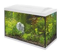 Superfish Start 150 Aquarium - White