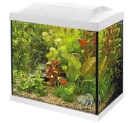 Superfish Start 50 Aquarium - White