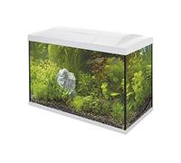 (70 White) Superfish Start Tropical Aquarium Kit 30 50 70 100 150 Black White LED Fish Tank