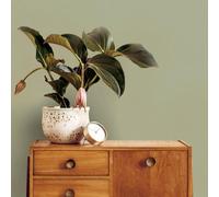 Superfresco Easy Amour Sage Wallpaper | Paste the Wall | Green Texture | Eco-Friendly