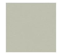 Superfresco Easy Amour Sage Wallpaper | Paste The Wall | Green Texture | Eco-Friendly