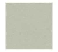 Superfresco Easy Amour Sage Wallpaper | Paste the Wall | Green Texture | Eco-Friendly