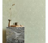 Superfresco Easy Gilded Plaster Sage Silver Textured Wallpaper | Paste The Wall | Silver Texture | Eco-Friendly