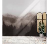 Superfresco Easy Misty Landscape Neutral Print To Order 3M X 2.8M Mural In Beige Beige