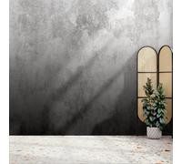 Superfresco Easy Ombre Mono Print To Order 3m x 2.8m Mural | Wallpaper Roll
