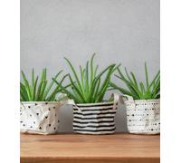 Superfresco Vinyl Stipple Design Paintable Wallpaper