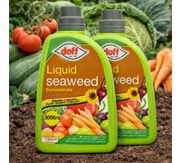 SuperGift.com 2X Doff Seaweed Concentrate Liquid 1L