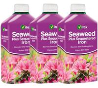 SuperGift.com 3 X Vitax Seaweed Plus Sequestered Iron Liquid 500Ml Plant Feed For Healthy Green Growth, Flowers, Vegetables, Fruit Plants, Shrub