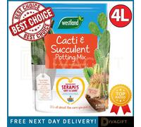 SuperGift.com 3 X Westland Cacti & Succulent Potting Mix Compost 4L Peat-Free Specialist Compost Multipack