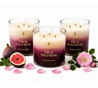 SuperGift.com 3X 350G Fig & Wild Rose Scented Candles